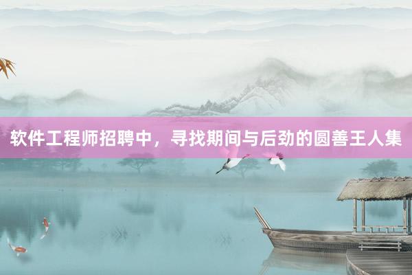 软件工程师招聘中，寻找期间与后劲的圆善王人集