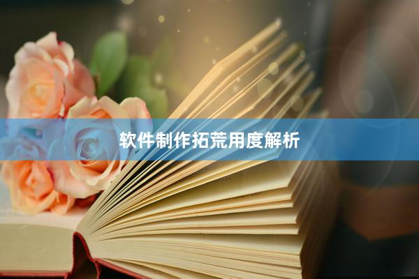 软件制作拓荒用度解析
