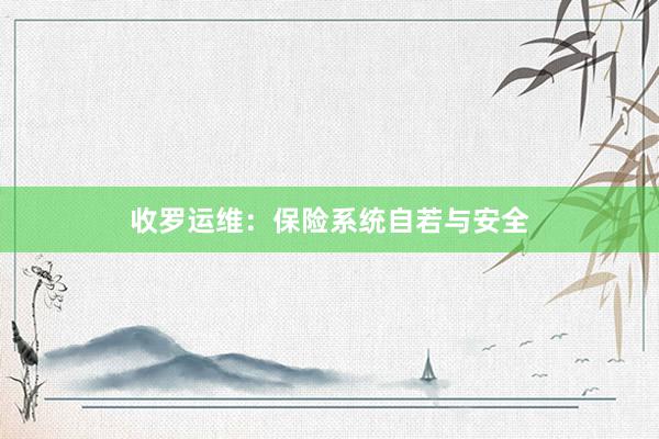 收罗运维：保险系统自若与安全